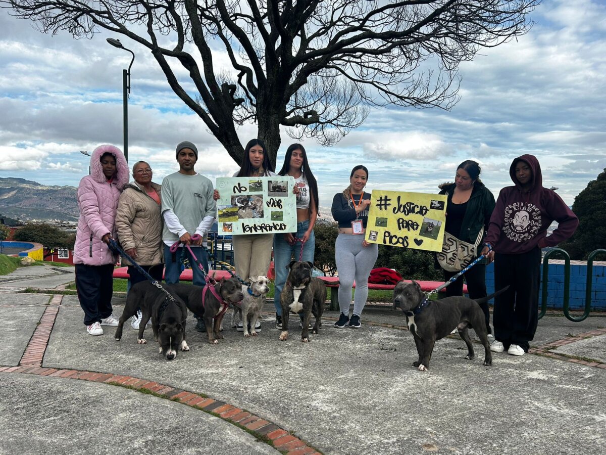 Desalmado asesinó a perrito en San Cristóbal 1 Desalmado asesinó a perrito en San Cristóbal Este sujeto, con un cuchillo, acabó con la vida de ‘Picos’, un perrito de raza American Bully, a plena luz del día.