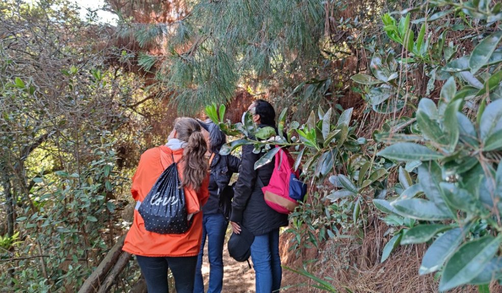 Agéndese y visite el sendero ecológico Santa Ana La Aguadora en Usaquén Santa Ana La Aguadora es un circuito de bosque de pinos ubicado en la zona rural del barrio Santa Bárbara de Usaquén. Para visitarlo, los interesados deben inscribirse.