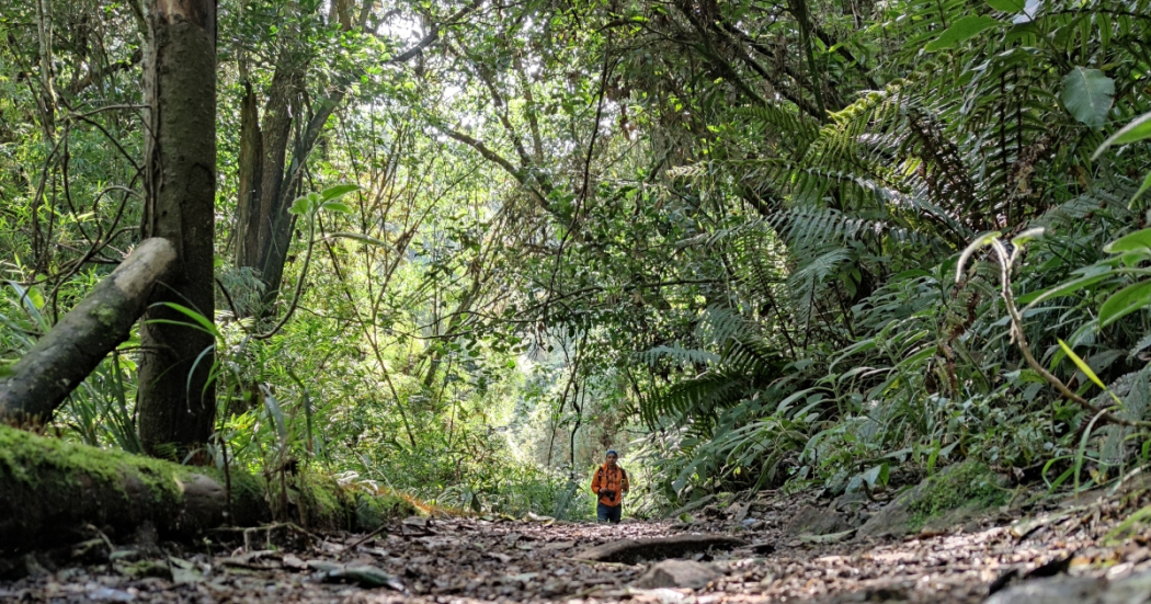 Agéndese y visite el sendero ecológico Santa Ana La Aguadora en Usaquén 1 Agéndese y visite el sendero ecológico Santa Ana La Aguadora en Usaquén Santa Ana La Aguadora es un circuito de bosque de pinos ubicado en la zona rural del barrio Santa Bárbara de Usaquén. Para visitarlo, los interesados deben inscribirse.