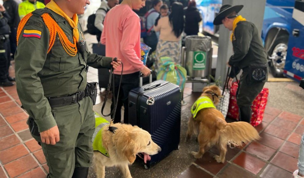 Así va a funcionar el plan 'Vacaciones seguras' de la Policía 9 Así va a funcionar el plan 'Vacaciones seguras' de la Policía La Policía Metropolitana de Bogotá lanzó este viernes el plan 'Vacaciones seguras', con el que busca garantizar la seguridad de los bogotanos y turistas durante esta temporada de mitad de año. Les contamos de qué se trata.