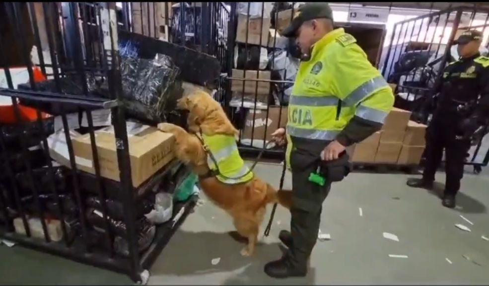Autoridades incautan 19 kilos de marihuana en el aeropuerto El Dorado En un golpe contundente contra el narcotráfico, la Policía de Bogotá incautó 19 kilogramos de marihuana en el Aeropuerto Internacional El Dorado, en el marco de la Operación Bogotá.