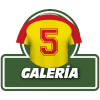 Q Copa America