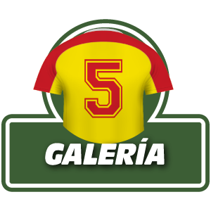 Q Copa America