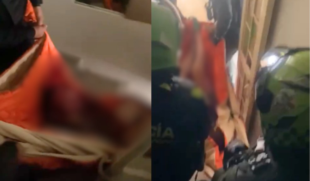Conozca los detalles sobre el ataque de los dos perros Pitbull en Puente Aranda El pasado martes en una vivienda del barrio Barcelona, en Puente Aranda, dos perros de raza Pitbull Terrier atacaron violentamente a su dueño, un hombre de 42 años.