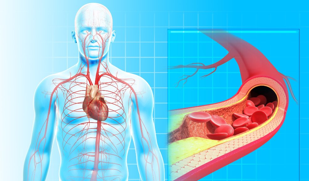 Razones por las que beber cerveza es bueno para la salud 1 beneficios cerveza