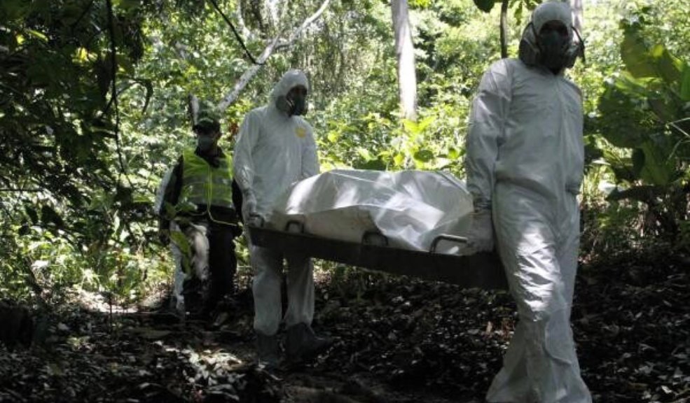 Encuentran cuerpo de un hombre calcinado en zona boscosa 1 Encuentran cuerpo de un hombre calcinado en zona boscosa Las autoridades hallaron un cuerpo de una zona boscosa de Medellín. En este momento investigan si el crimen estaría relacionado con una presunta retaliación entre estructuras delincuenciales.
