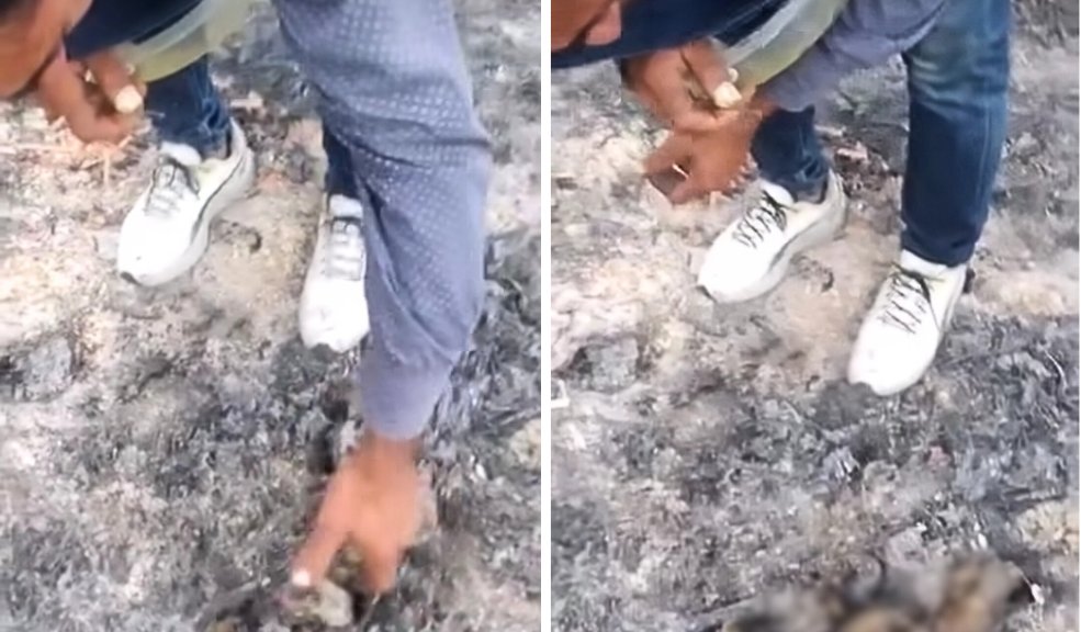 Habitante de calle llora desconsolado porque incineraron a su perrita Al parecer dentro de un operativo, el cambuche del hombre fue quemado. La perrita estaba amarrada esperando a que llegara su dueño.