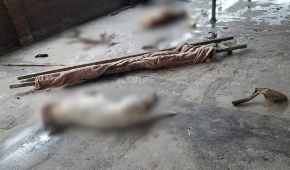 Conozca los detalles sobre el ataque de los dos perros Pitbull en Puente Aranda El pasado martes en una vivienda del barrio Barcelona, en Puente Aranda, dos perros de raza Pitbull Terrier atacaron violentamente a su dueño, un hombre de 42 años.