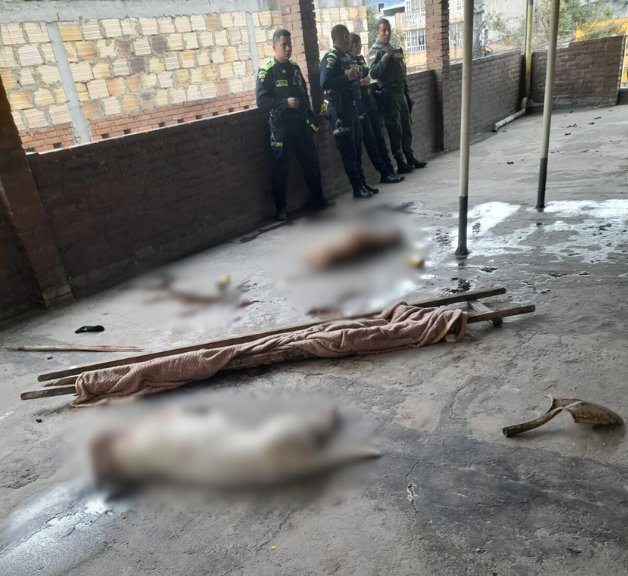 Hombre quedó gravemente herido tras ser atacado por dos perros pitbull en Puente Aranda Para detener la agresión, los perros tuvieron que ser sacrificados. El hombre habría perdido uno de sus brazos.