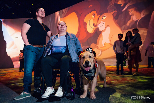 "Immersive Disney Animation" llega por primera vez a Colombia Bogotá será la primera parada de la exposición "Immersive Disney Animation" que por primera vez llega a Latinoamérica, luego de recorrer 14 ciudades alrededor del mundo.