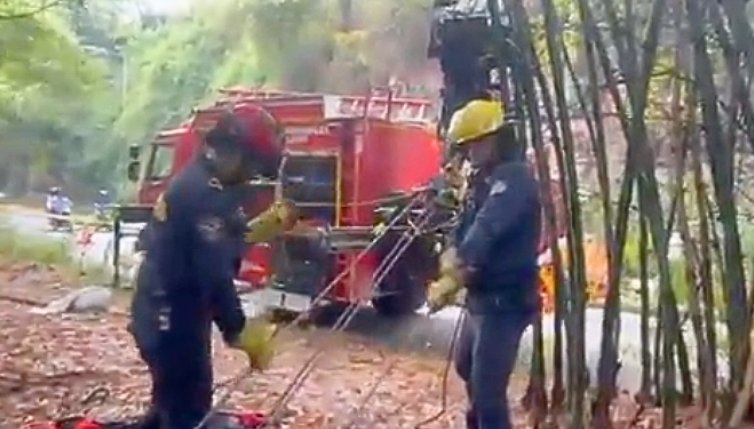 Mujeres cayeron a un barranco tras ser atacadas por perros pitbulls 1 Mujeres cayeron a un barranco tras ser atacadas por perros pitbulls El hecho se dio en medio de un enfrentamiento de perros en el que los animales tumbaron a las mujeres al barranco.
