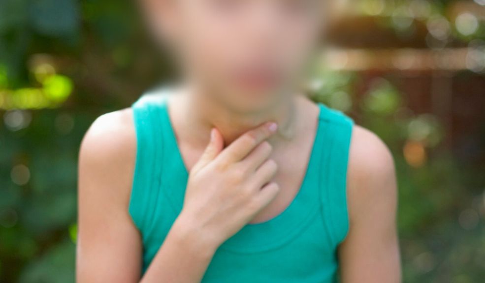 Niña murió en un colegio tras atorarse con un alimento: familia denuncia que no recibió atención Una niña de 10 años murió el pasado 14 de junio tras atorarse con una semilla de una fruta, mientras estaba en su colegio. Los allegados de la menor denuncian que la institución no actuó como debía.