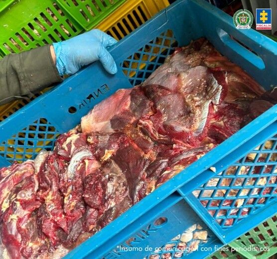 Judicializan a presuntos responsables del sacrificio de animales y comercialización ilegal de carne 1 Judicializan a presuntos responsables del sacrificio de animales y comercialización ilegal de carne Los sujetos son señalados de comprar vacas, toros, caballos y búfalos muertos o enfermos para vender la carne en Bogotá y municipios de Boyacá.