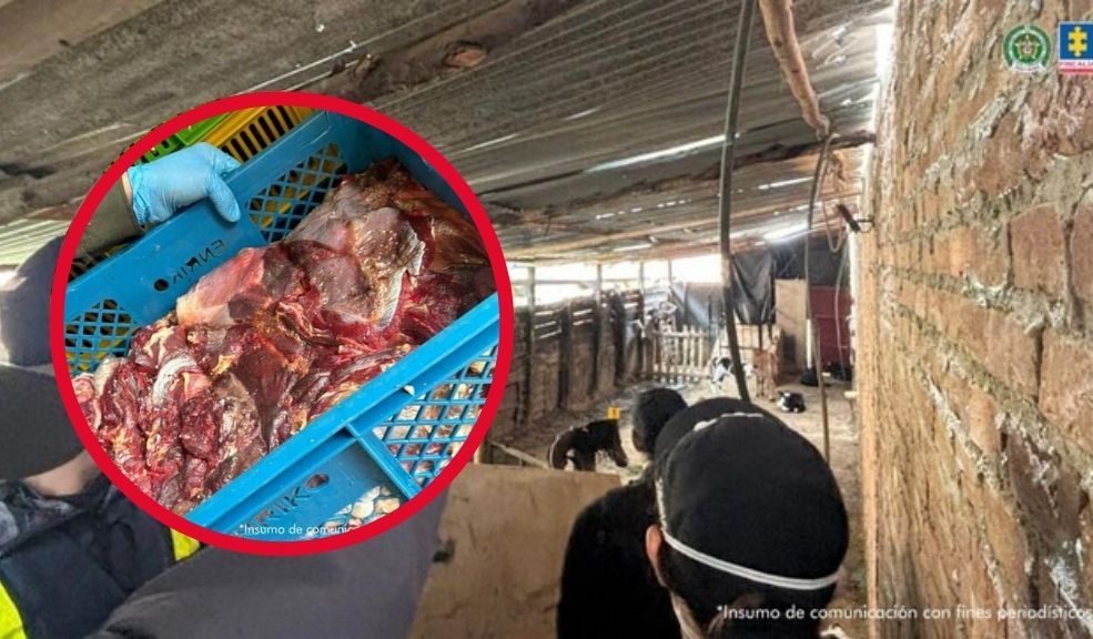 Judicializan a presuntos responsables del sacrificio de animales y comercialización ilegal de carne 10 Judicializan a presuntos responsables del sacrificio de animales y comercialización ilegal de carne Los sujetos son señalados de comprar vacas, toros, caballos y búfalos muertos o enfermos para vender la carne en Bogotá y municipios de Boyacá.