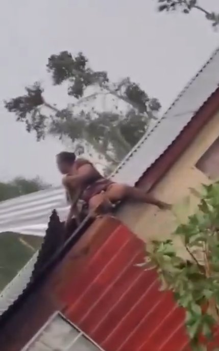 Así fue como una mujer se aferró al techo de su casa para que el huracán Beryl no se lo llevara 1 Así fue como una mujer se aferró al techo de su casa para que el huracán Beryl no se lo llevara El video que circula en redes sociales muestra a una señora sobre su casa atajando su techo para que el huracán Beryl no se lo lleve.