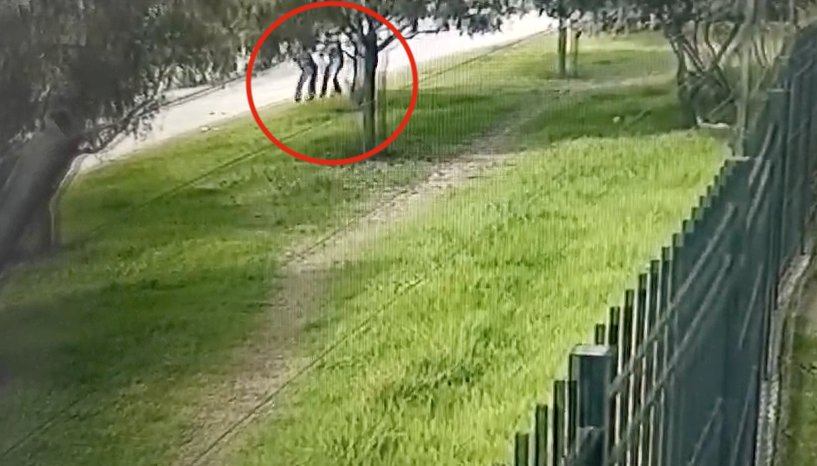 Menor de 14 años salvó a su madre de ser víctima de feminicidio en Madelena 1 feminicidio