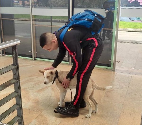 Conmovedor: operario de Transmilenio adoptó a perrito abandonado en una estación 1 Conmovedor: operario de Transmilenio adoptó a perrito abandonado en una estación La mascota llegó a la estación El Campín, desde una articulado de TransMilenio que se diría para Suba.