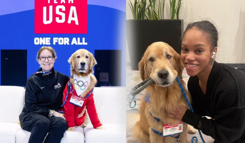 Beacon, el Golden Retriever que conquistó los Olímpicos 3 Beacon, el Golden Retriever que conquistó los Olímpicos En los Juegos Olímpicos de París 2024, hay una estrella que no necesita medallas ni competencias para brillar. Su nombre es Beacon, un golden retriever de cuatro años que ha capturado los corazones de la delegación estadounidense y de todos los que han tenido el placer de conocerlo.