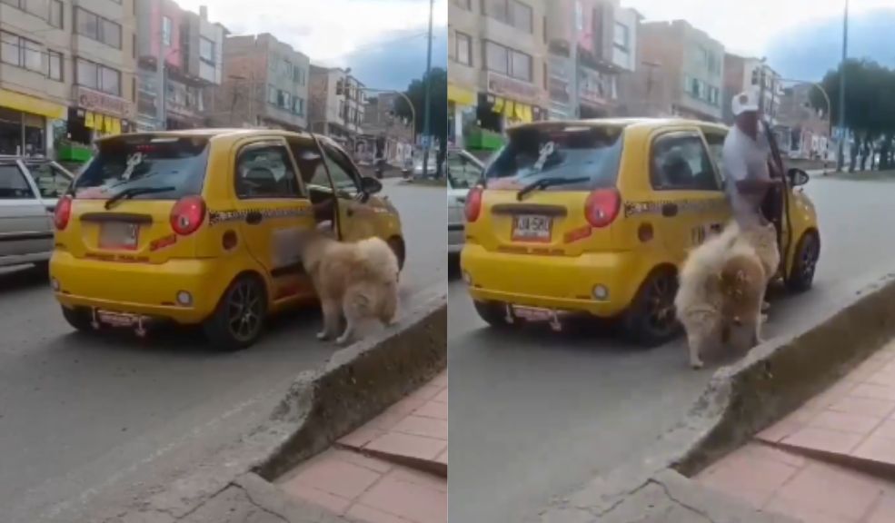 EN VIDEO: La verdad detrás del supuesto abandono de perrito En redes sociales se volvió viral el video de un hombre que supuestamente abandona a un perrito en Duitama (Boyacá). Las autoridades le hicieron seguimiento al caso y esto fue lo que encontraron.