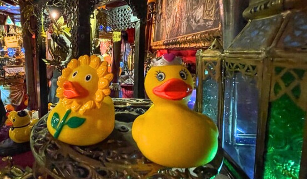 El Paticano: la moda de los patos, su iglesia y sus divertidos feligreses La moda de los patos de goma y cómo se han convertido en toda una religión ¡Hasta feligreses tienen!