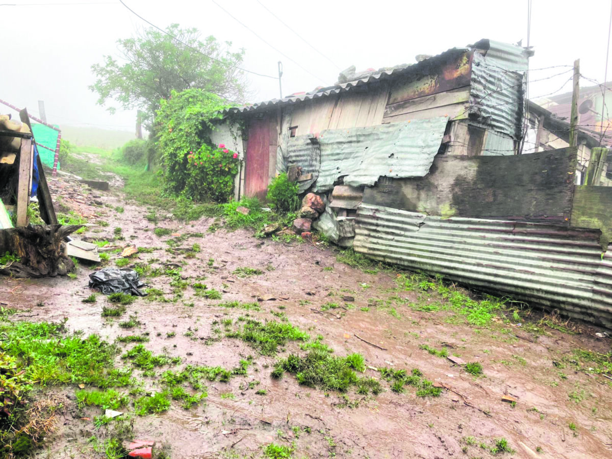 Ella era Carmen Cecilia, la mujer hallada muerta al interior de su vivienda en San Cristóbal 1 Ella era Carmen Cecilia, la mujer hallada muerta al interior de su vivienda en San Cristóbal Los residentes del barrio Villa Diana (en la localidad de San Cristóbal) se encuentran de luto tras la muerte repentina de la señora Carmen Cecilia Morales (60 años), quien fue encontrada en su vivienda en la tarde de este lunes.