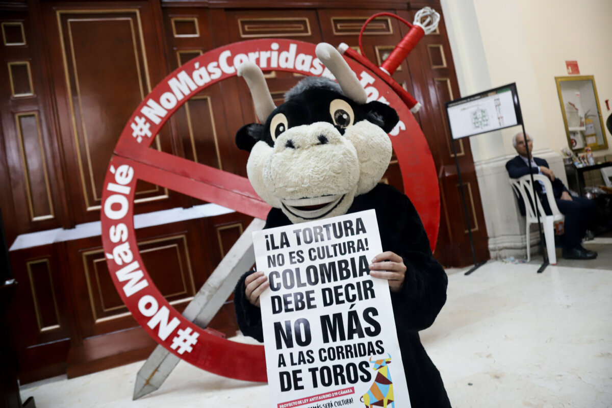 Gobierno sancionará hoy la ley que prohíbe las corridas de toros 1 Gobierno sancionará hoy la ley que prohíbe las corridas de toros Este lunes se realizará por parte del Gobierno la sanción de la ley que prohíbe las corridas de toros en todo el país.