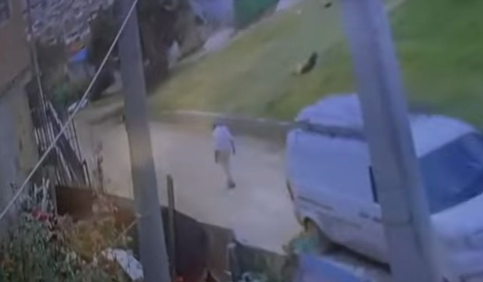 Adulto mayor fue arrollado en Soacha: el conductor lo abandonó en un hospital Tras llevar al adulto mayor a un hospital de Soacha, el conductor se dio a la fuga.