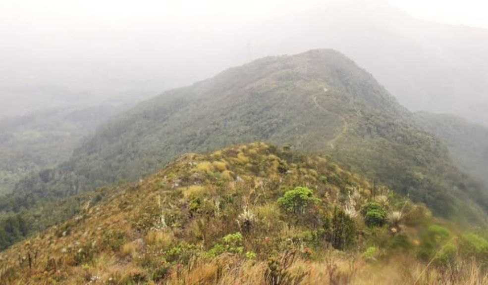 Anuncian cierre en caminos de los cerros 2 Anuncian cierre en caminos de los cerros La Empresa de Acueducto y Alcantarillado de Bogotá (EAAB) informa a la ciudadanía que los senderos de los Cerros Orientales estarán cerrados durante los días 6 y 7 de agosto.