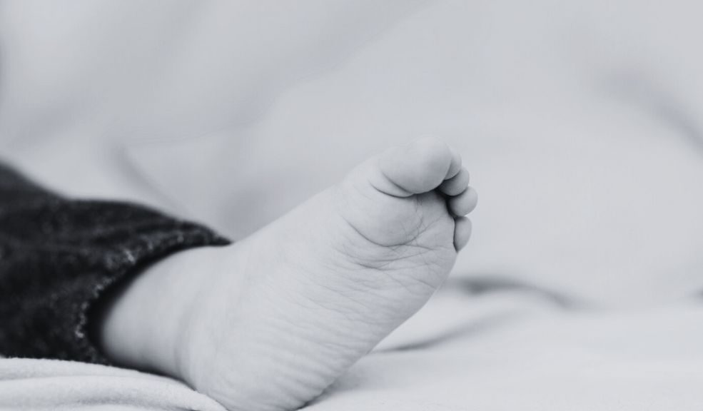 Escalofriante: Mujer habría enterrado el cuerpo de sus dos bebés en el jardín de la casa 6 Escalofriante: Mujer habría enterrado el cuerpo de sus dos bebés en el jardín de la casa La tranquila localidad italiana de Vignale di Traversetolo, en Parma, se vio sacudida por un macabro descubrimiento: las autoridades hallaron los cuerpos sin vida de dos bebés recién nacidos enterrados en el jardín de una vivienda familiar.