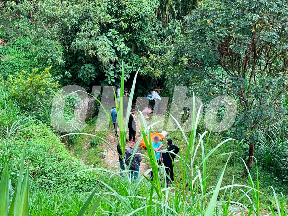 ¡Escalofriante! Hallan cuerpo amarrado con una manguera y envuelto entre sábanas 1 ¡Escalofriante! Hallan cuerpo amarrado con una manguera y envuelto entre sábanas El corregimiento de Santa Elena (Medellín), es uno de los lugares predilectos para los senderistas caminar entre la naturaleza, pero en la mañana del domingo, 25 de agosto, la tranquilidad de esa zona se vio alterada por cuenta del hallazgo de un cuerpo sin vida.