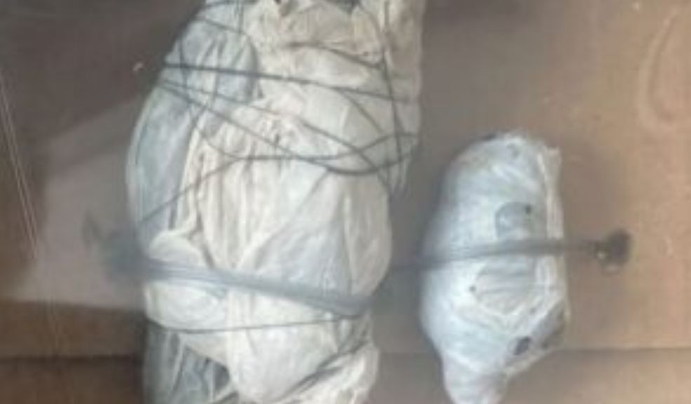 ¡Aterrador! Supuesto hechicero profanaba tumbas y hacía brujería con los cadáveres 1 ¡Aterrador! Supuesto hechicero profanaba tumbas y hacía brujería con los cadáveres El personal de seguridad del principal cementerio del Tolima en Ibagué notificó a las autoridades metropolitanas sobre un individuo sospechoso que estaba interviniendo en varias tumbas.