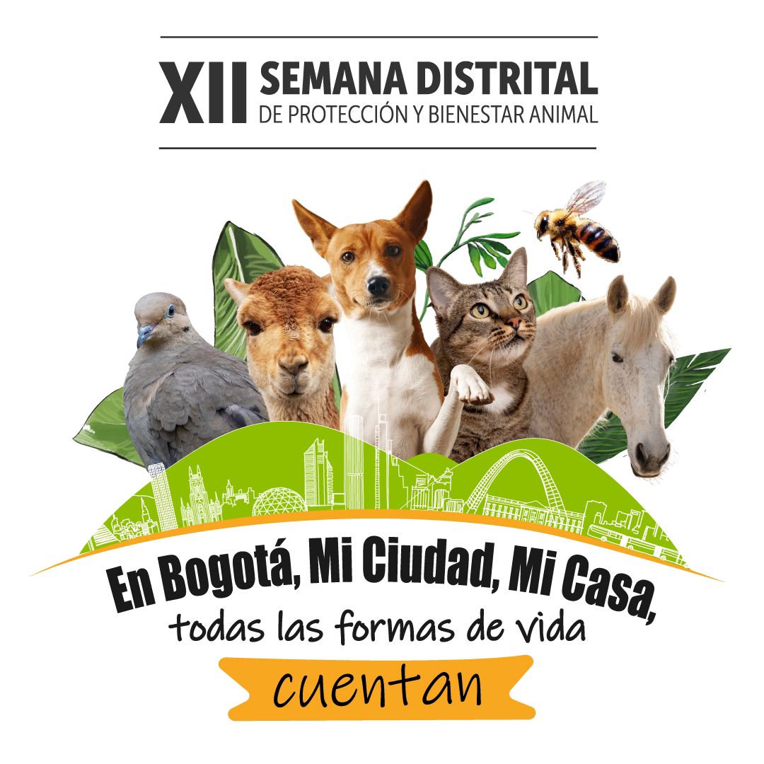 Bogotá se prepara para la semana de Protección y Bienestar Animal: habrá más de 40 actividades 1 Bogotá se prepara para la semana de Protección y Bienestar Animal: habrá más de 40 actividades Con más de 40 actividades virtuales y presenciales, este evento busca sensibilizar a la ciudadanía sobre la importancia de cuidar y proteger a nuestros animales.