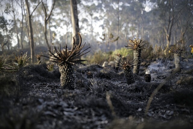 Cierran los senderos ecológicos de los cerros orientales por riesgo de incendios forestales 1 Cierran los senderos ecológicos de los cerros orientales por riesgo de incendios forestales La Alcaldía de Bogotá y Acueducto anunciaron el cierre temporal de los senderos ecológicos ubicados en los cerros orientales, con el fin de mitigar los posibles incendios forestales.