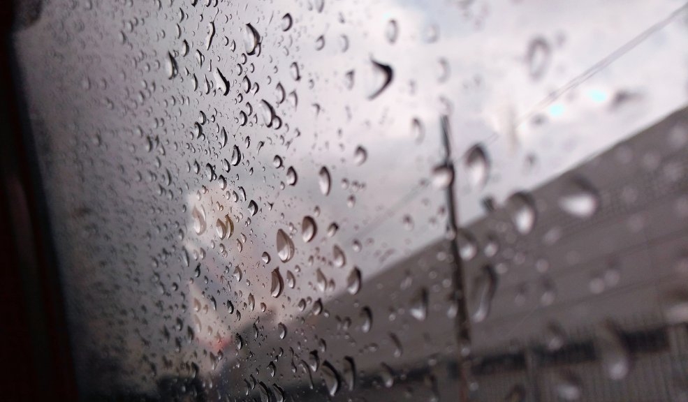 Pronóstico del clima en Bogotá para mañana, sábado 28 de septiembre 1 Pronóstico del clima en Bogotá para mañana, sábado 28 de septiembre El clima será nublado con chubascos durante la tarde, así que es recomendable llevar paraguas si tienes planes al aire libre. Además, la intensidad del viento será moderada, alcanzando ráfagas de hasta 26 km/h.