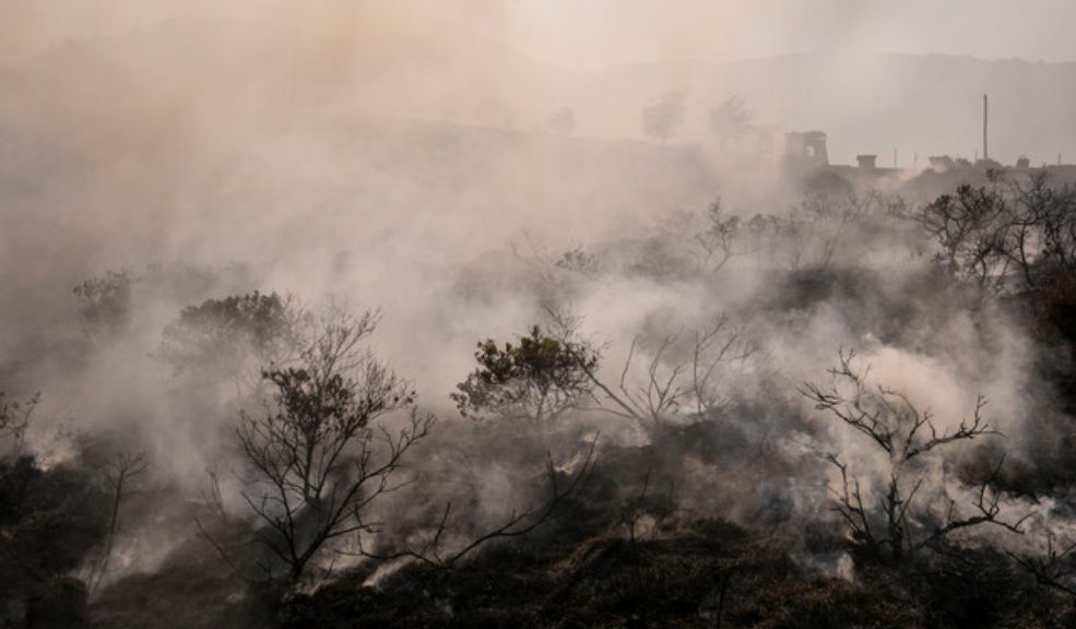 Defensoría exige acciones urgentes ante la crisis de incendios forestales en Colombia La funcionaria subrayó la urgencia de tomar medidas preventivas para proteger las comunidades y sus ecosistemas de los incendios.
