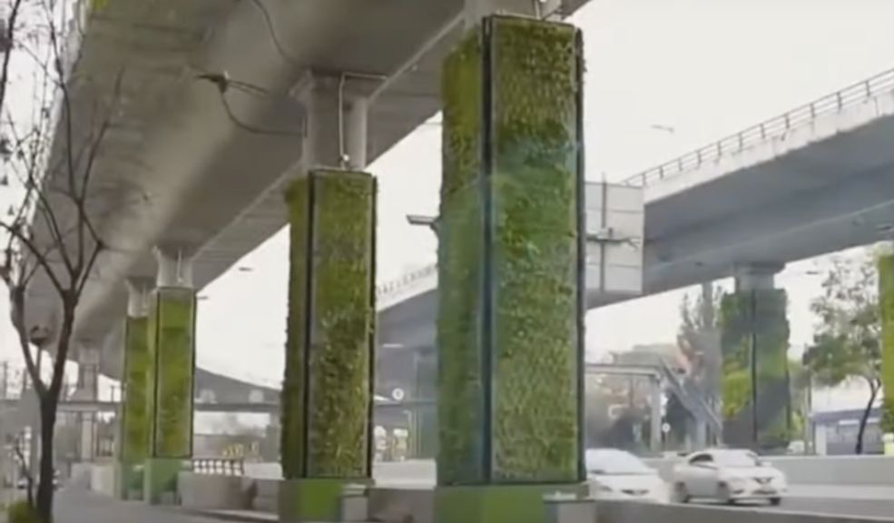 Distrito propone implementar un sistema verde en la Primera Línea del Metro de Bogotá El proyecto piloto propone transformar los espacios bajo el viaducto de la Primera Línea del Metro en áreas verdes, optimizando la estructura de la construcción para reducir la huella de calor y mejorar la calidad del aire.