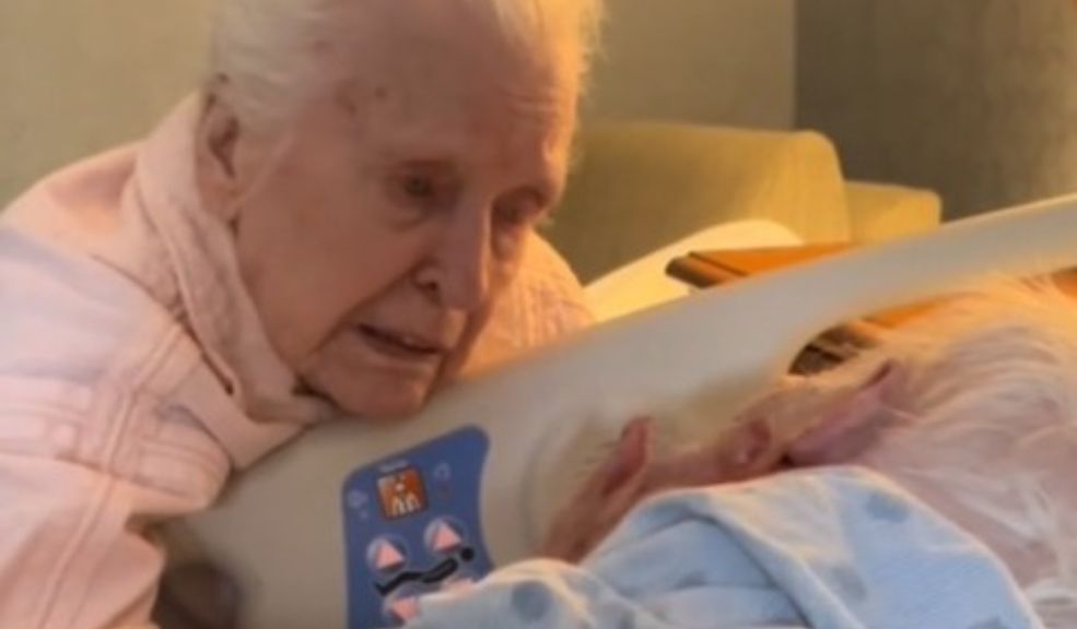Emotiva despedida de una abuelita a su esposo en su lecho de muerte 1 Emotiva despedida de una abuelita a su esposo en su lecho de muerte Las redes sociales han sido el espacio ideal para compartir experiencias, anécdotas y momentos que perdurarán, algunas veces tocando el corazón de los espectadores. Un claro ejemplo es el de un emotivo video que circula en la plataforma de Tiktok, generando emociones de tristeza y amor al ser protagonizado por una pareja de abuelos que vivieron muchos años juntos, pero la enfermedad en uno de ellos los ha separado.