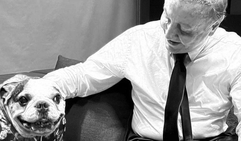 Fiel hasta el final: perrito de Rodolfo Hernández murió en las últimas horas 3 Fiel hasta el final: perrito de Rodolfo Hernández murió en las últimas horas Con el emotivo mensaje "Se fue Narco a cuidar a mi papá" el hijo de Rodolfo Hernández confirmó el fallecimiento también de la mascota horas después de la muerte de su dueño.