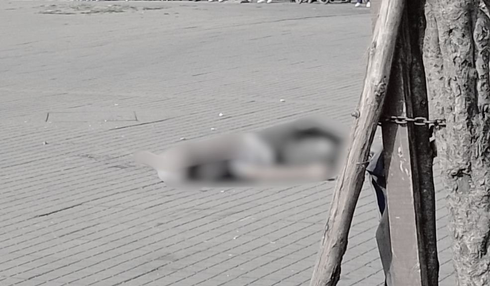 Nuevos detalles del asesinato de 2 bicitaxistas en Bosa: otra persona quedó herida 1 Nuevos detalles del asesinato de 2 bicitaxistas en Bosa: otra persona quedó herida Sicarios acabaron con la vida de 2 ciudadanos venezolanos que se encontraban junto a un bicitaxi en la localidad de Bosa. Q'HUBO conoció los detalles de este crimen cometido a plena luz del día.