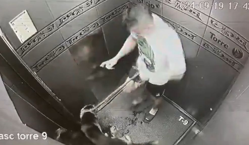 Perrito agredido en ascensor ya fue atendido por Bienestar Animal 1 Perrito agredido en ascensor ya fue atendido por Bienestar Animal El incidente fue registrado por las cámaras de seguridad del ascensor, donde se observa al dueño del animal propinarle varias patadas, luego de que el peludo se orinara en el elevador.