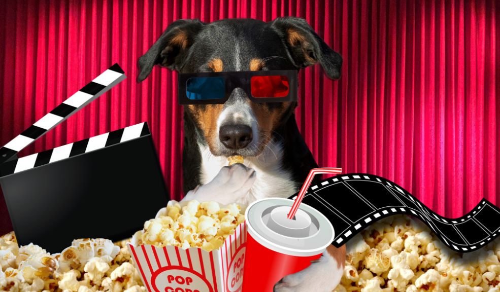 Royal Films celebra sus 50 años con descuentos increíbles y entradas gratuitas al cine Royal Films invita a todos los colombianos a unirse a esta gran celebración, donde el cine será el protagonista y el vehículo para compartir momentos inolvidables con amigos y familiares.