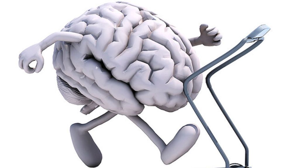 La verdad sobre las arrugas en piel, estómago y cerebro 7 La verdad sobre las arrugas en piel, estómago y cerebro Un equipo de investigación formado por el profesor Dong Sung Kim, la profesora Anna Lee y el doctor Jaeseung Youn, del Departamento de Ingeniería Mecánica de La Universidad de Ciencia y Tecnología de Pohang (POSTECH), en Corea del sur, ha recreado con éxito la estructura de las arrugas en tejidos biológicos in vitro y han descubierto los mecanismos que subyacen a su formación, desvelando así su "misterioso" origen, según publican en la revista 'Nature Communications'.