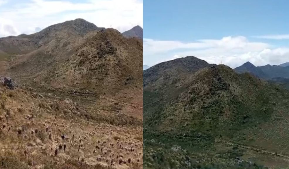 Alianza entre Itaú y WWF promete preservar y restaurar 30 hectáreas de páramo en Colombia 1 Alianza entre Itaú y WWF promete preservar y restaurar 30 hectáreas de páramo en Colombia Como parte de esta colaboración, se plantarán 6.000 frailejones y otras especies nativas en el Santuario de Fauna y Flora Guanentá - Alto Río Fonce, que se encuentra entre los departamentos de Santander y Boyacá.