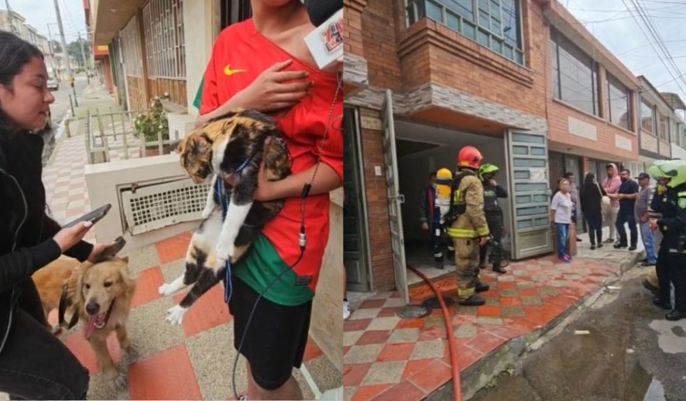 EN VIDEO: Bomberos rescataron un perrito y un gato de un incendio en una casa de Zipaquirá 5 EN VIDEO: Bomberos rescataron un perrito y un gato de un incendio en una casa de Zipaquirá En la mañana de hoy 7 de octubre, los bomberos de Zipaquirá llevaron a cabo un exitoso rescate de un perro y un gato atrapados en un incendio que se registró en una vivienda del barrio Esperanza, en dicho municipio.
