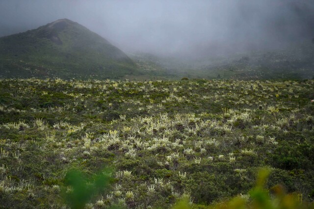 Gobierno y más de 1.000 habitantes de Sumapaz acuerdan protección para el páramo 1 Gobierno y más de 1.000 habitantes de Sumapaz acuerdan protección para el páramo Durante tres días, y a través de mesas de trabajo, se buscó concretar la definición de la hoja de ruta para la participación de la región en la COP16, que se llevará a cabo en Cali a partir del 21 de octubre.