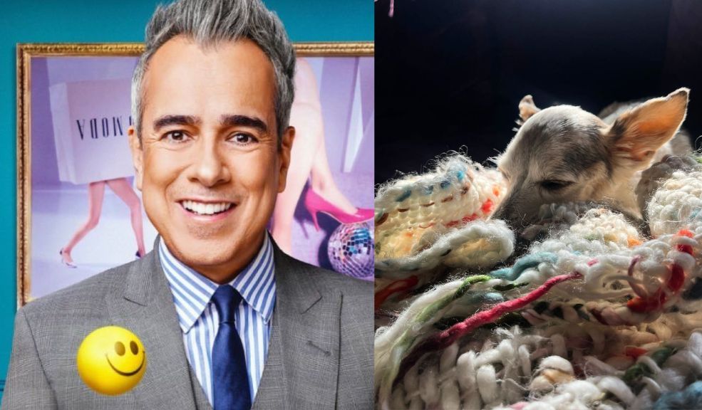 Jorge Enrique Abello manifestó su dolor por la pérdida de su perrita Las mascotas se han convertido en un miembro esencial de las familias contemporáneas, y su partida puede sentirse tan dolorosa como la de un ser querido. Así lo ha demostrado el actor colombiano Jorge Enrique Abello, quien atraviesa un duelo por la muerte de su fiel compañera, una perrita a la que llamaba Pulga Rosa.