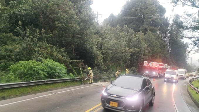 Bogotá está en alerta por caída de árboles, ya son 143 este mes 1 Bogotá está en alerta por caída de árboles, ya son 143 este mes Este incremento es preocupante, ya que en octubre fueron 89 los árboles caídos, y en lo que va del año ya suman 772.