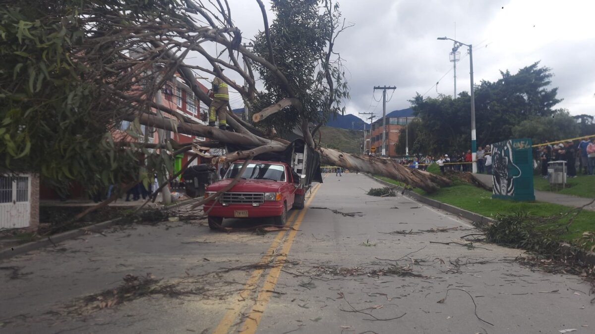 Bomberos atienden la caída de un árbol en el sur de Bogotá 1 Bomberos atienden la caída de un árbol en el sur de Bogotá Un árbol cayó sobre una camioneta en el barrio Bochica, localidad Rafael Uribe Uribe, dejando al sector sin energía y bloqueando la vía.