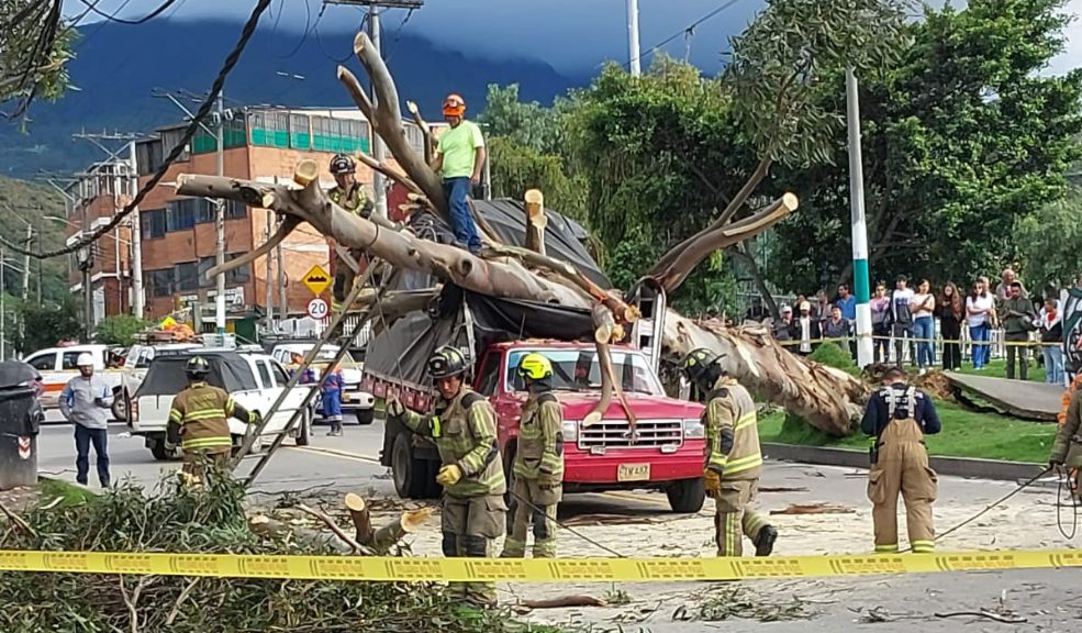 Bomberos atienden la caída de un árbol en el sur de Bogotá Un árbol cayó sobre una camioneta en el barrio Bochica, localidad Rafael Uribe Uribe, dejando al sector sin energía y bloqueando la vía.