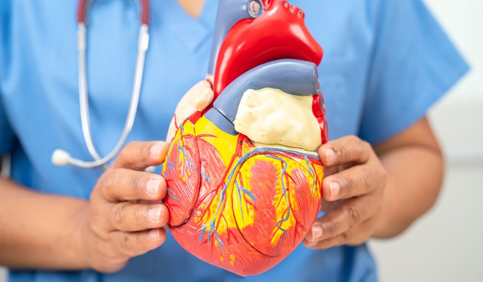Cómo detectar y prevenir las enfermedades cardiovasculares: claves para una vida saludable Las enfermedades cardiovasculares (ECV) siguen siendo una de las principales causas de muerte en el mundo, afectando a millones de personas cada año.